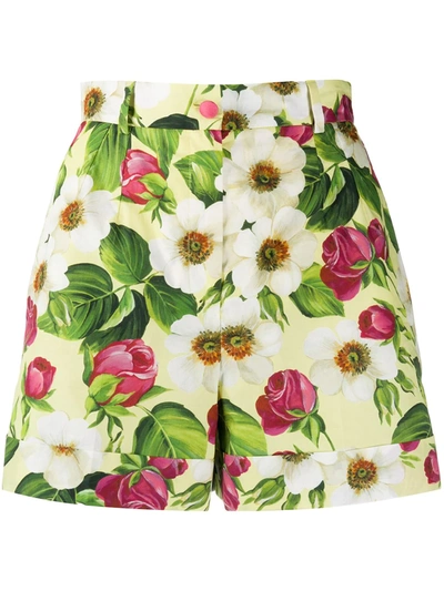 Dolce & Gabbana Poplin Floral-print Cuffed Shorts