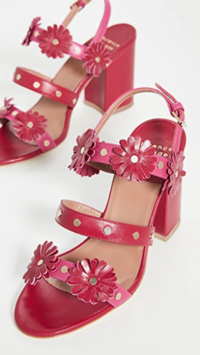 Laurence Dacade Valance Sandals In Red/fuchsia
