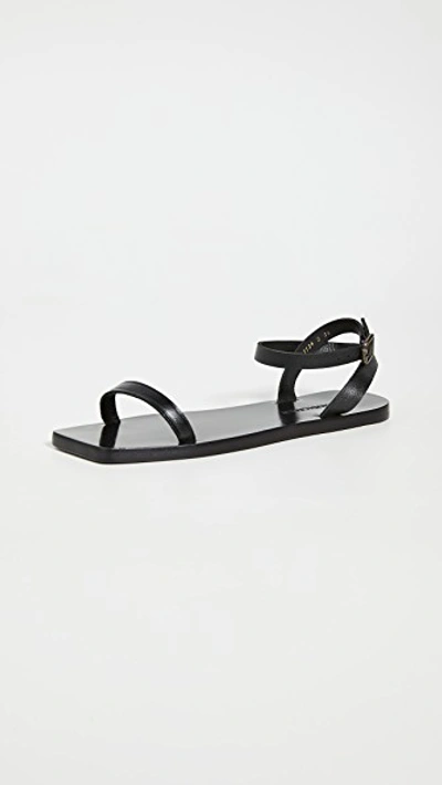 Mari Giudicelli Valencia Flat Sandals In Preto