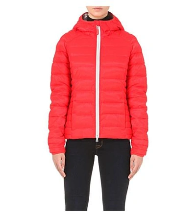 Canada Goose Brookevale Quilted Shell Jacket In Torch