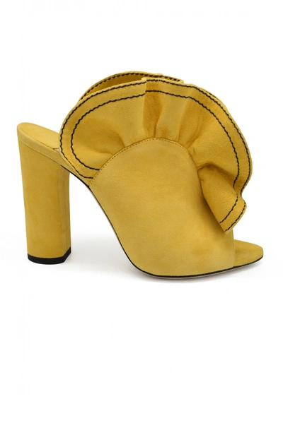 Jimmy Choo Haile 100 Mules In Yellow