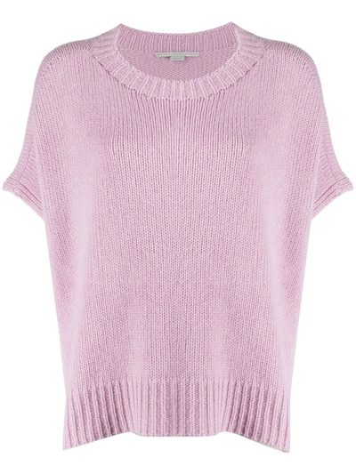 Stella Mccartney Loose Fit Knitted Top In Pink