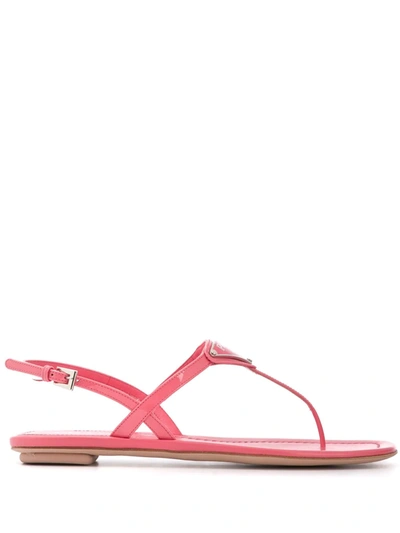 Prada Logo Plaque Flat Sandals In Pink