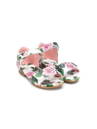 Dolce & Gabbana Kids' Roses Print Touch Strap Sandals In White