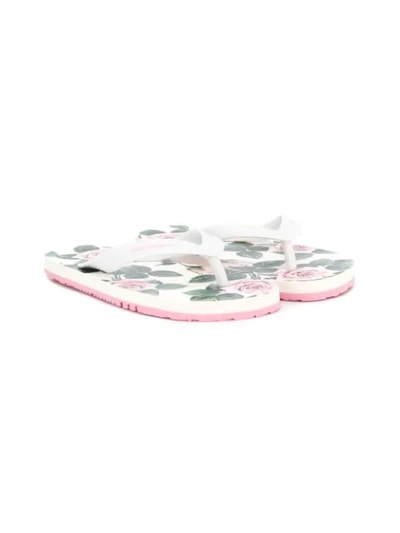 Dolce & Gabbana Kids' Topical Rose Print Flip-flops In White