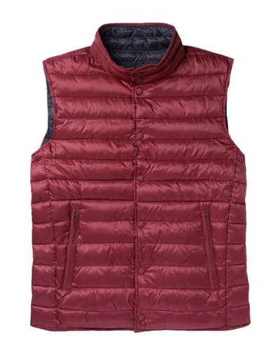 Hackett Down Jacket In Maroon