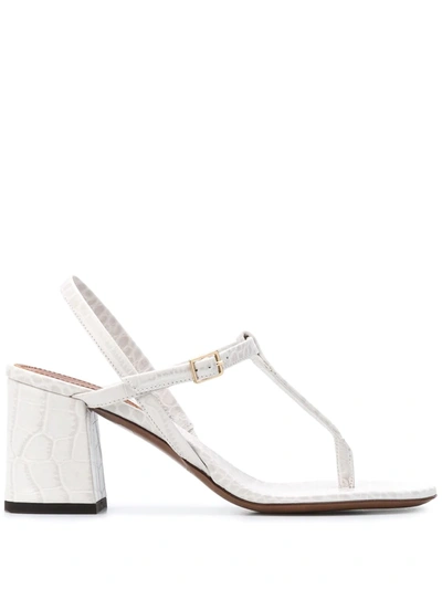 L'autre Chose 70mm Croc Embossed Leather Thong Sandal In White