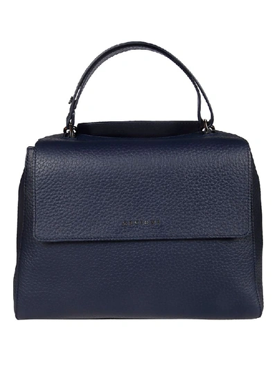 Orciani Women's Blue Leather Handbag