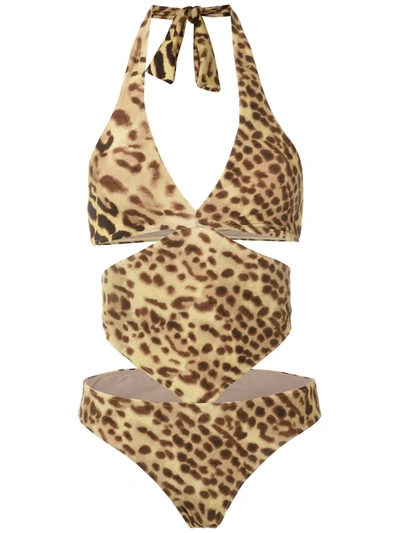 Adriana Degreas Cut Out Leopard Print Swimsuit In Multicolour