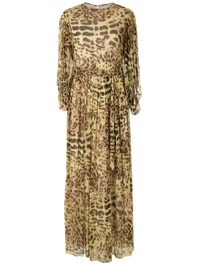 Adriana Degreas Leopard Print Silk Gown In Yellow