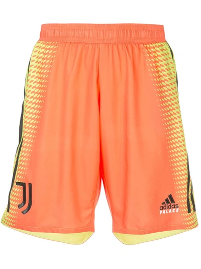 Palace Graphic Print Shorts In Orange