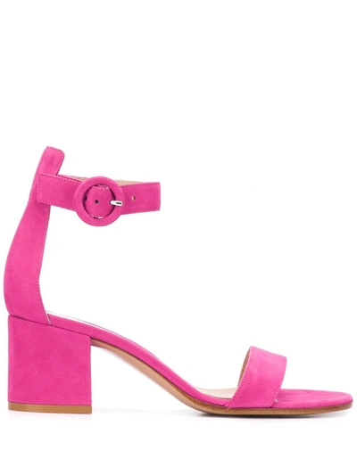 Gianvito Rossi Block Heel Sandals In Pink
