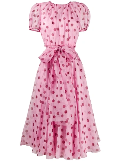 Dolce & Gabbana Polka Dot Sheer Dress In Hf96z Pink