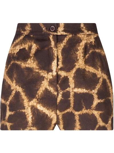 Dolce & Gabbana Drill Shorts With Giraffe Print In Brown