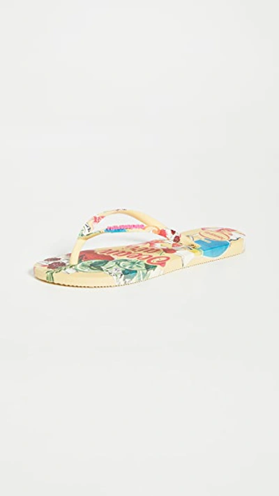 HAVAIANAS SLIM SUMMER FLIP FLOPS 