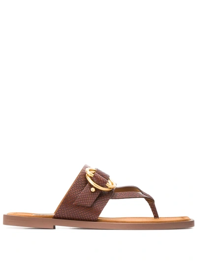 Stella Mccartney Brown Buckled Faux Leather Sandals