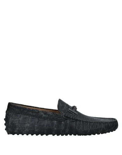 Tod's Loafers In Black