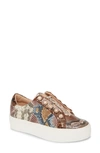 Kurt Geiger Liviah Platform Sneaker In Multi Color Snake Print