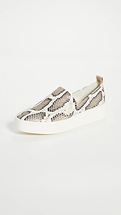 Vince Saxon2 Snake-print Leather Slip-on Sneakers In Taupe Snake