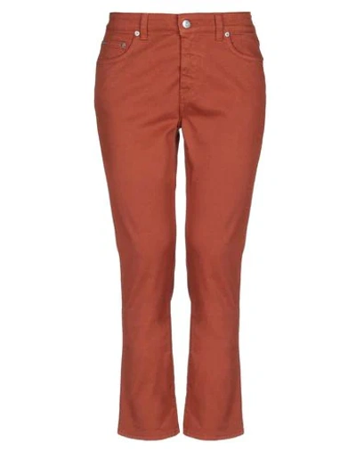 Department 5 Jeans In Brown