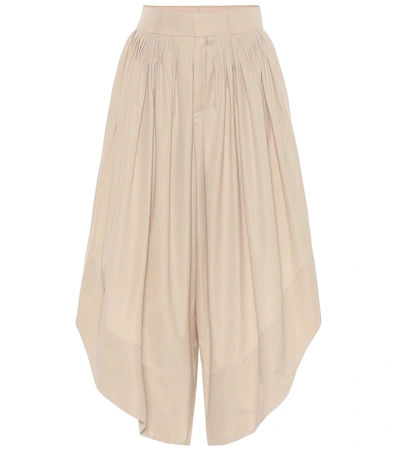 Chloé Cotton Poplin High-waist Culotte Trousers In Soften Brown