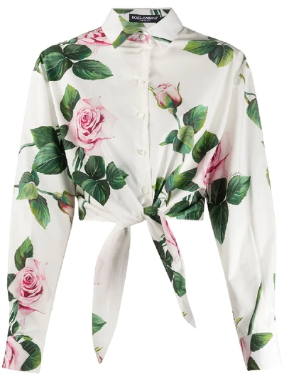 Dolce & Gabbana Tie-front Floral-print Cotton-poplin Shirt In White ,pink