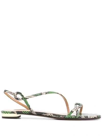 Aquazzura Women's Serpentine Snakeskin Slingback Sandals In Jungle Green