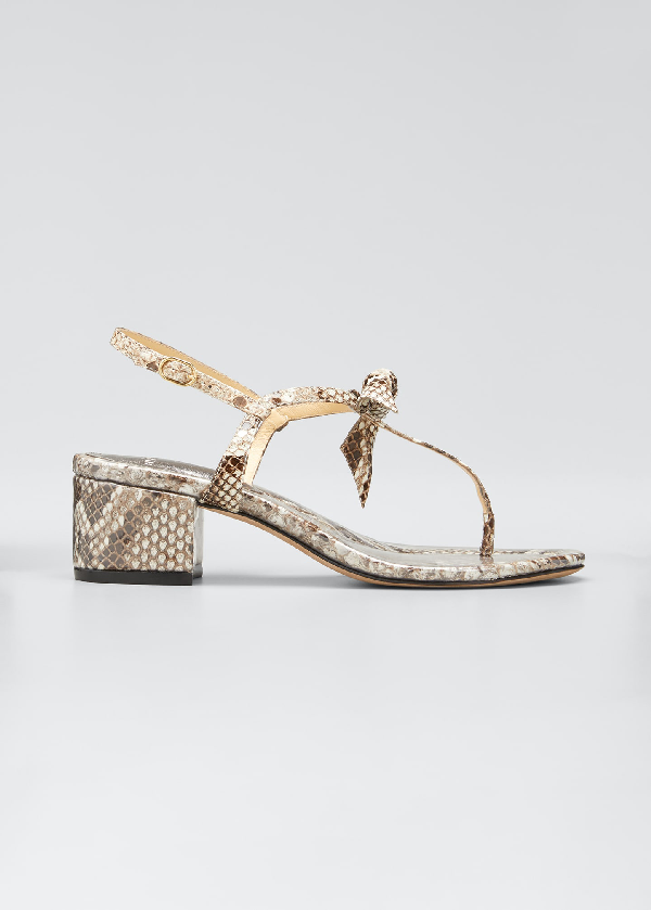 alexandre birman clarita python