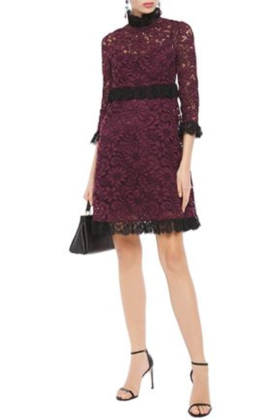 Dolce & Gabbana Ruffle-trimmed Cotton-blend Corded Lace Mini Dress In Plum
