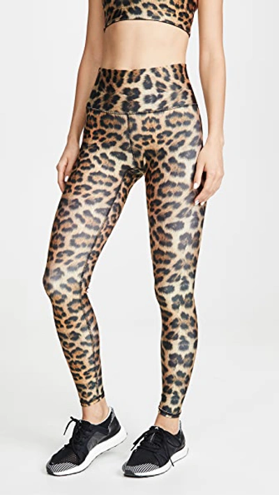 Terez High Waist Leopard Print Leggings In Multicolour
