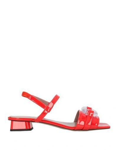 Rayne Sandals In Red