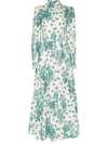 Evi Grintela Jasmine Pleated Floral-print Cotton-poplin Maxi Dress In Multicolor