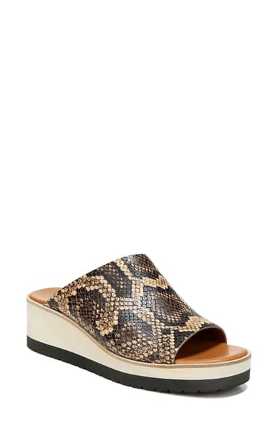 Vince Sarria Snakeskin-embossed Leather Wedge Mules In Tan Roccia