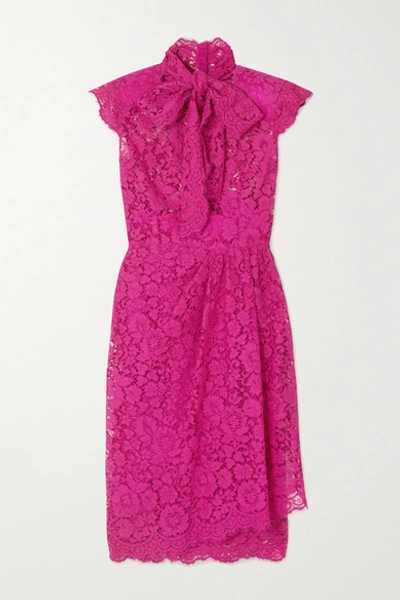 Dolce & Gabbana Pussy-bow Corded Cotton-blend Lace Dress In Pink