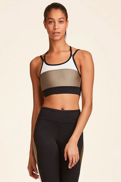 Alala Aurora Colorblock Sports Bra In Gold Dust