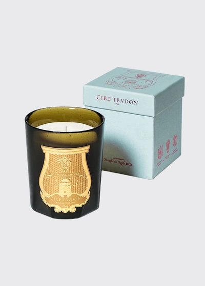 Cire Trudon Dada Classic Candle, Tea And Vetiver In Deflt