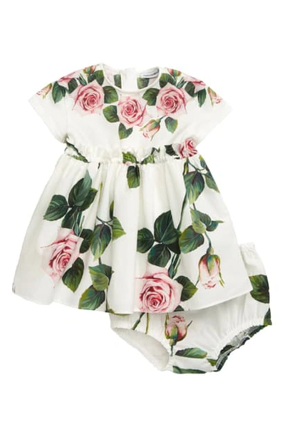 Dolce & Gabbana Babies' Girl's Rose Print Combo Dress W/ Matching Bloomers, Size 12-30 Months In Rose Rosa Fdo.panna