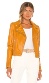 Lamarque Donna Moto Jacket In Honey