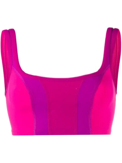 Isabel Marant Taceyo Crop Top In Fuchsia