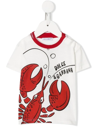 Dolce & Gabbana Babies' Lobster-print Short-sleeved T-shirt In White