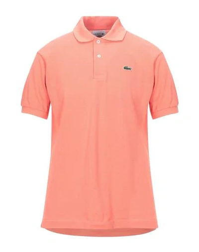 Lacoste Polo Shirt In Orange