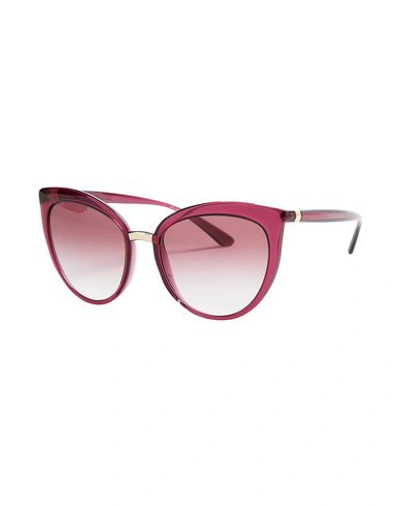 Dolce & Gabbana Sunglasses In Garnet