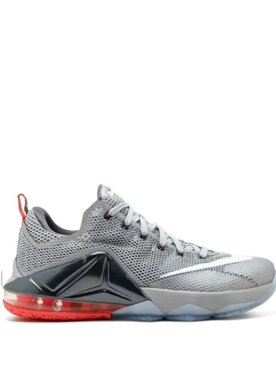 Nike Lebron 12 Low Sneakers In Grey