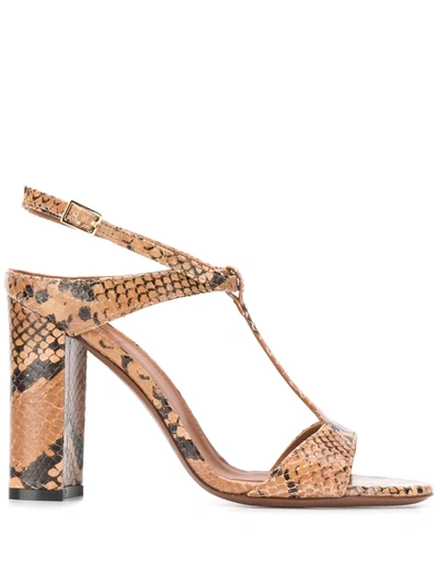 L'autre Chose Snakeskin Effect T-bar Sandals In Brown