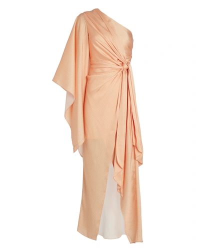 Significant Other Caspian One Shoulder Printed Maxi Dress-pink In Salmon