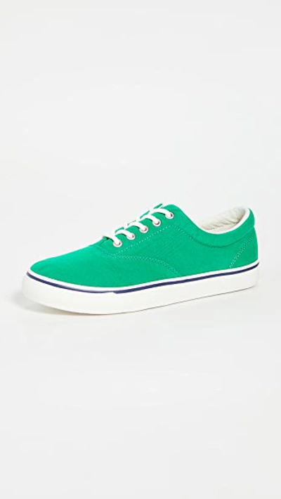 Polo Ralph Lauren Harpoon Sneakers In Green