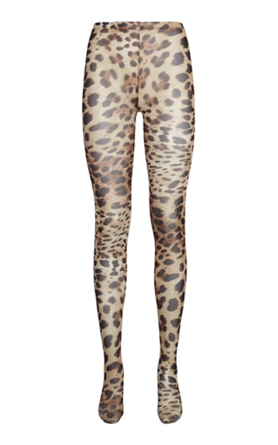 Dolce & Gabbana Printed Tights In Animal