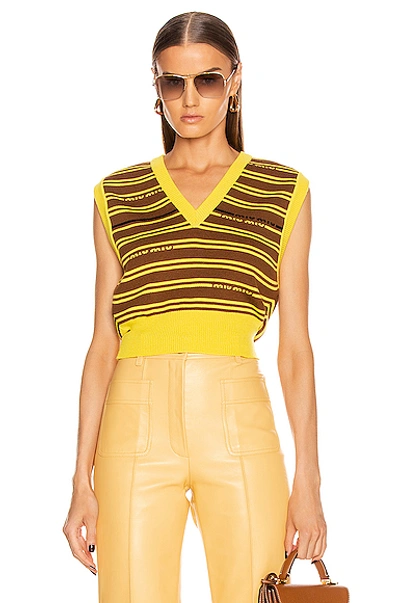 Miu Miu Striped Knitted Top In Tobacco