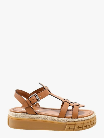 Prada Sandals In Brown