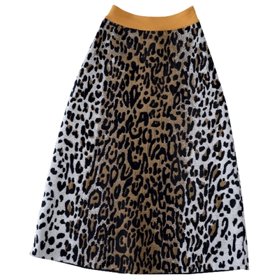 Pre-owned Stella Mccartney Mid-length Skirt In Brown